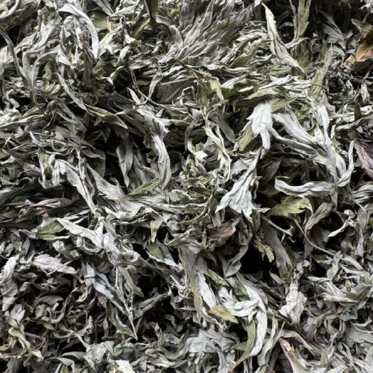 艾草 优质艾叶 干度好 含量高 产地直销 量大从优