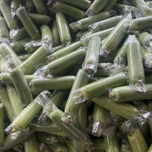 广西南宁水瓜肉丝瓜多汁大量有货合作的老板要的可以过来