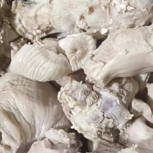 大厂县牛小料，飞水小料，牛的生命通道
