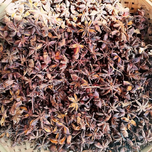 梧州自家种植的八角