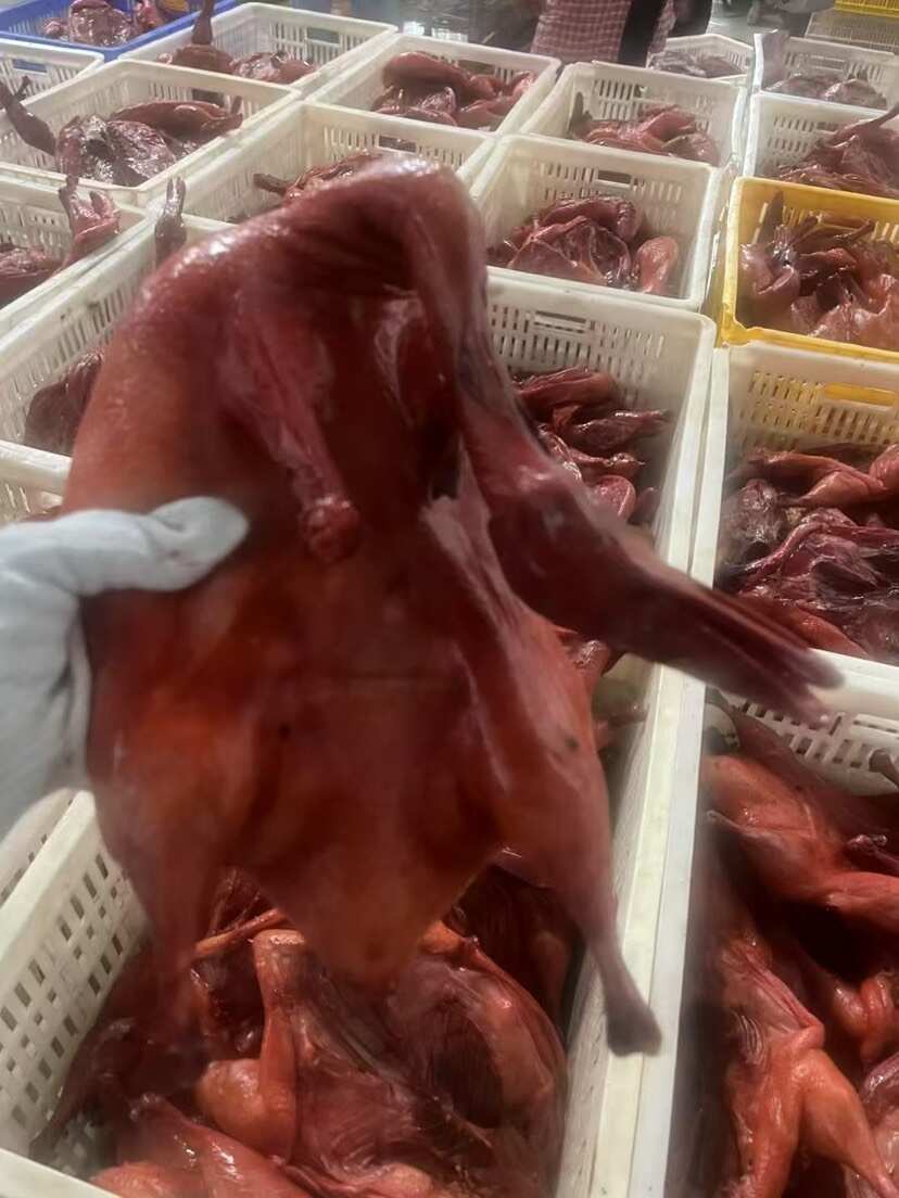 八成熟卤板鸭整箱50斤半成品冷冻散装板鸭商用卤菜店批发