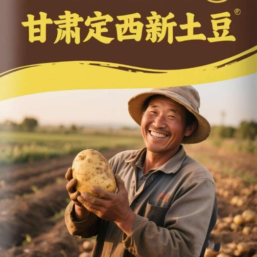 宁县25年甘肃定西土豆 新鲜现挖高山洋芋沙面马铃薯今年新土豆