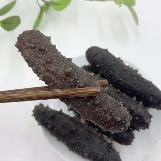 霞浦县一手货源，高品质霞浦即食海参，零售餐饮供应