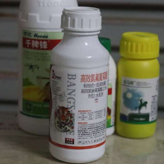 新干县高效氯氟氰菊酯农药蔬菜农作物果树杀虫剂菜青虫蚜虫棉铃虫杀虫剂