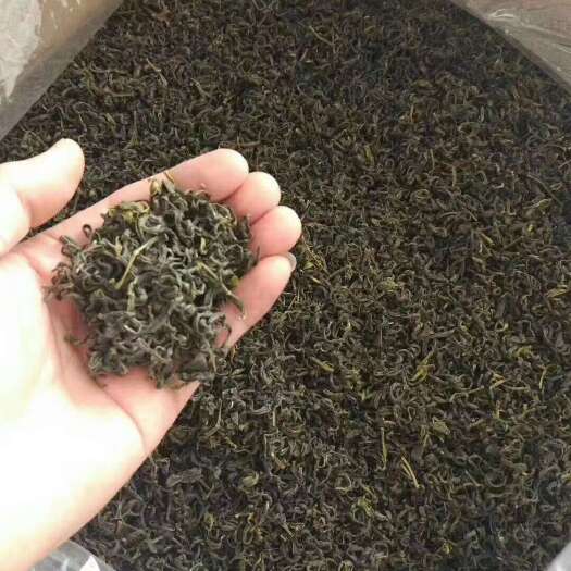 揭西县广东揭阳揭西县产优质春茶 散装食用农产品 恒温保存长期享用