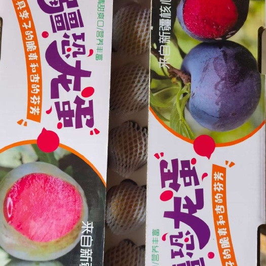 伽师县新疆喀什伽师恐龙蛋