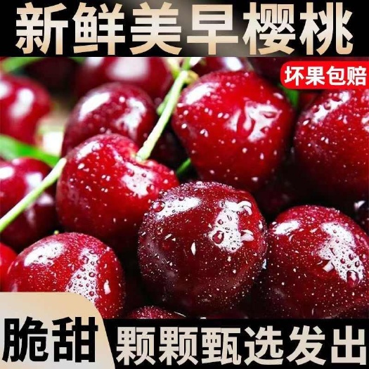大连大樱桃国产车现摘美早丨沙王孕妇当季新鲜水果整箱酸甜包邮