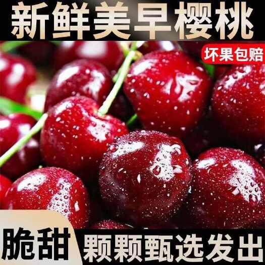 大连大连大樱桃国产车现摘美早丨沙王孕妇当季新鲜水果整箱酸甜包邮