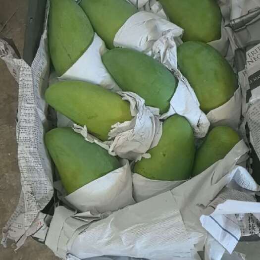 重庆市攀枝花二级大青芒，一件带框60斤左右，净果55斤左右