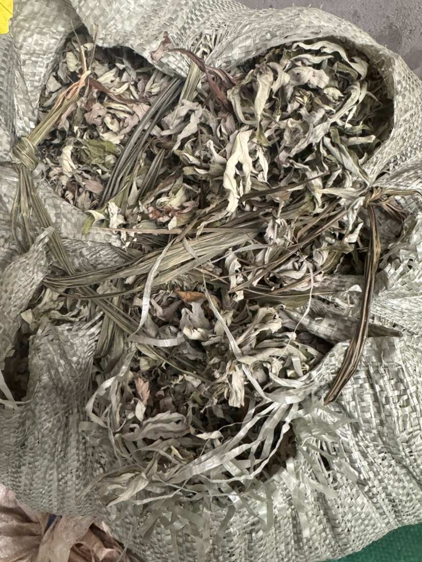 艾草 优质艾叶 干度好 含量高 产地直销 量大从优