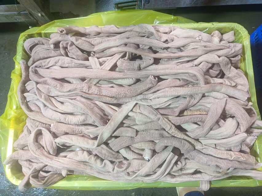 少油牛小肠板装，标准件20斤一板，价格更优惠