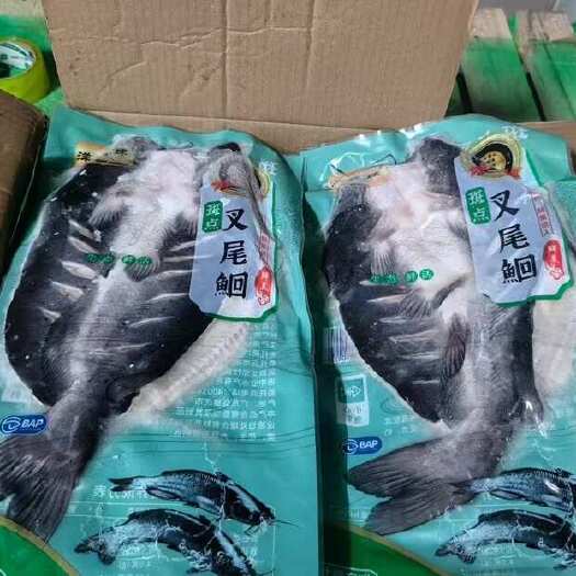 连云港【特大鮰鱼】清江鱼三去开背鮰鱼免处理叉尾鮰鱼半成品烤鱼批发