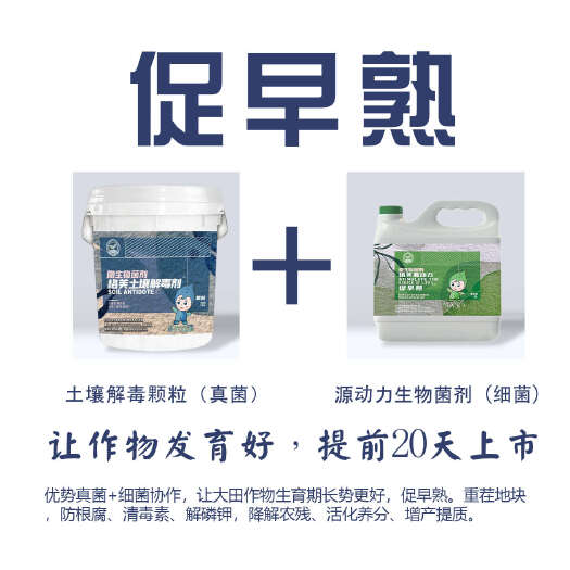 盐城大田作物稳产促早熟方案