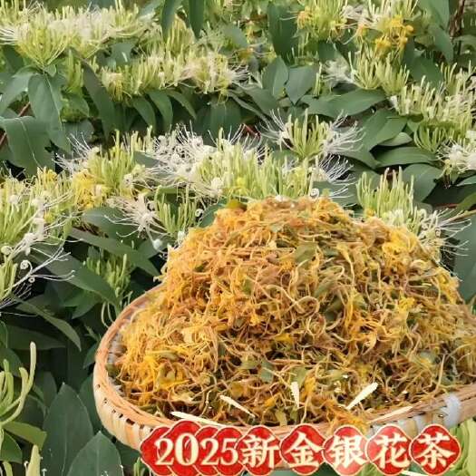 新货金银花茶去火解暑 深山采摘金银花晒干散装清香花草茶包邮