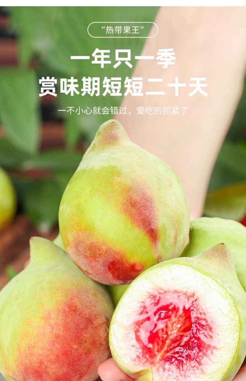 连平鹰嘴桃产地直发支持一件代发整车批发