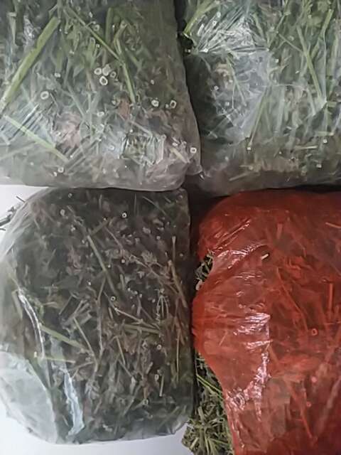 平陆县一手货中条山荔枝草