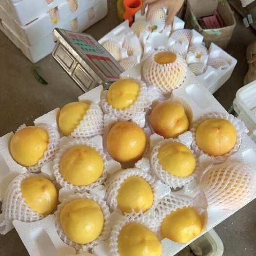 绛县终于等到了！咱家黄金油桃开始采摘发货了～
