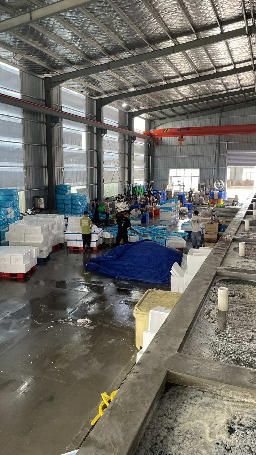 【支持视频验货】山东生蚝实物拍摄一手货源大货供应规格齐全可谈