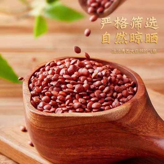 石家庄枣仁理枣仁含量高有保障