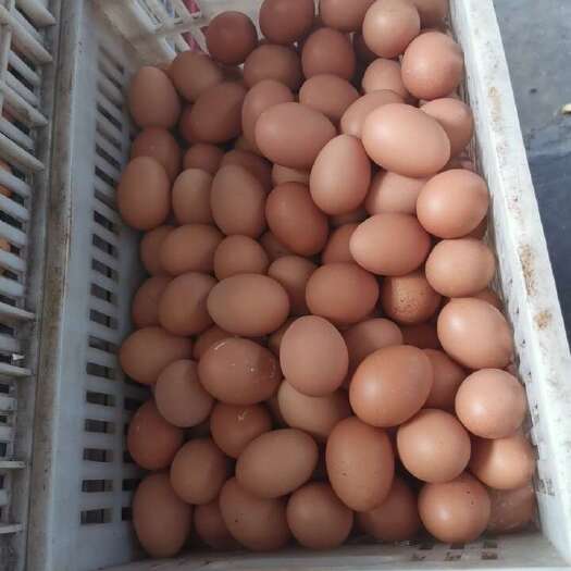 蚌埠小鸡蛋筐装30斤280个