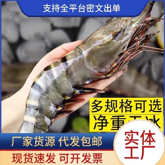 黑虎虾超大新鲜大虾鲜活速冻特大海虾（规格可选）