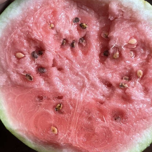 鄄城县龙卷风系列大量上市