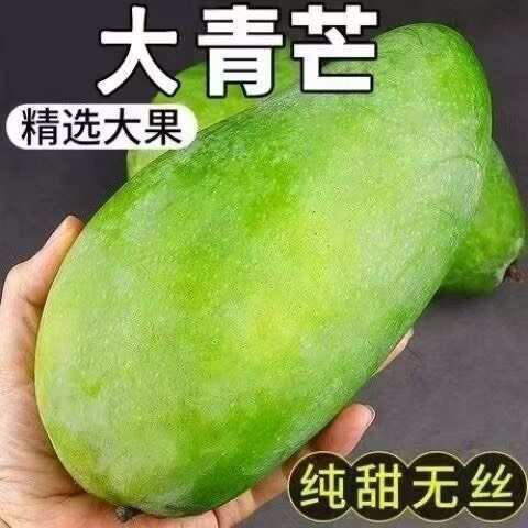 富民县特大云南直发青皮大青芒当季新鲜水果个大肉厚果核小整箱批发