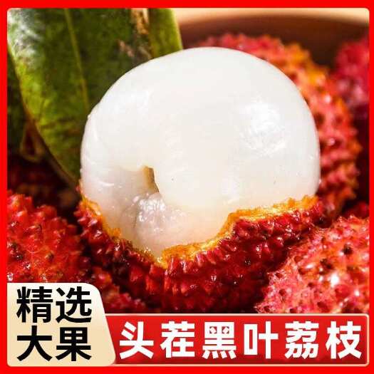 漳浦县寻找黑叶荔枝落地果，通货欢迎厂家联系