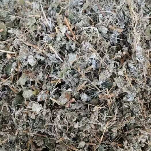 广西桂林阳朔县散装藤茶 食用农产品恒温保存统货。