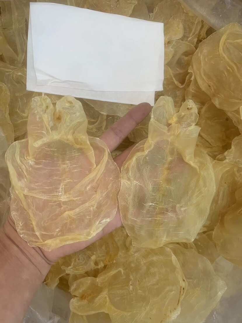 鱼胶花胶 蜘蛛片甲肚片一手货源全国发货量大价优