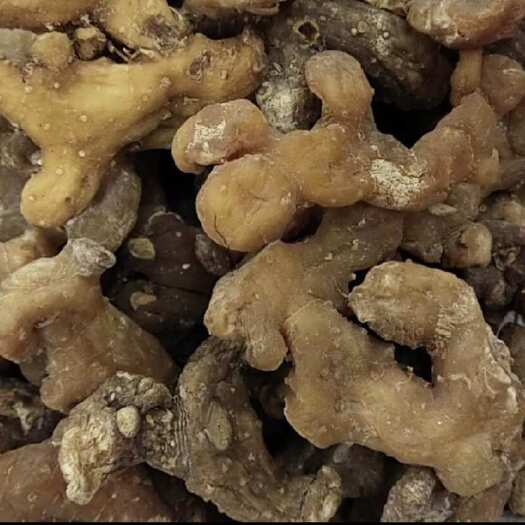 修文县贵州黄精 老虎姜，纯如假包换