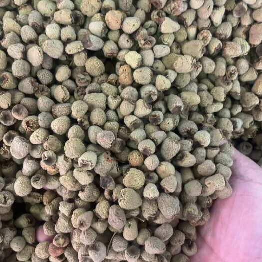 玉林覆盆子，