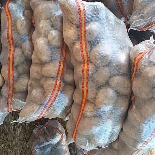开封土豆  西瓜  红薯  大量供应