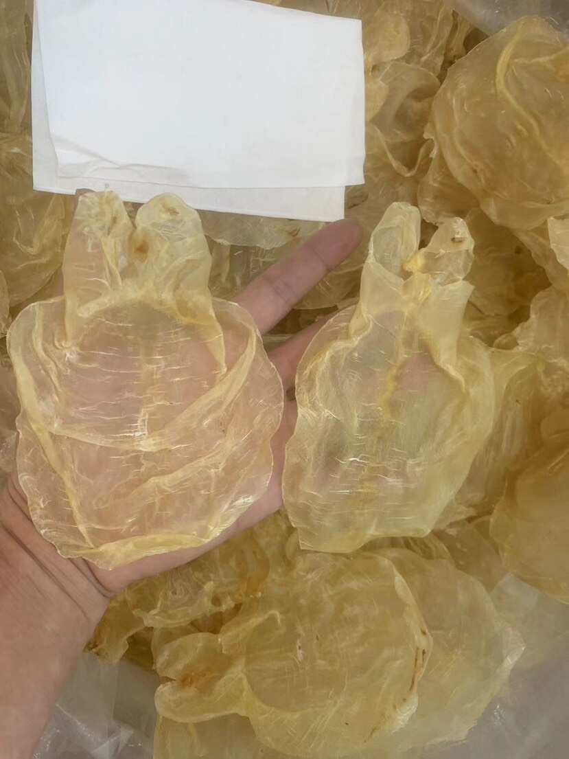 鱼胶花胶 蜘蛛片甲肚片一手货源全国发货量大价优
