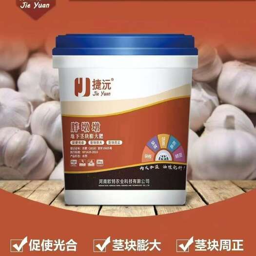 长葛市胖墩墩:地下块茎膨大，促进光合作用，控上促下，不空心，耐储存