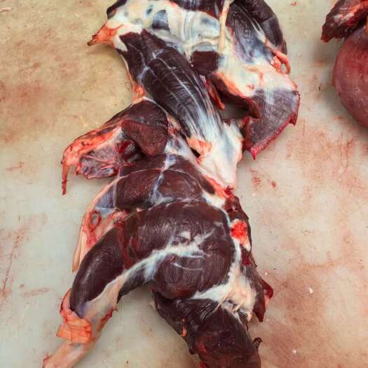 阳信县山东阳信原切国产牛腱子肉 精选优质牛肉 商家用料放心选择