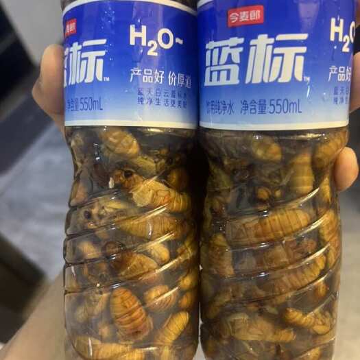 金乡县电商小金蝉