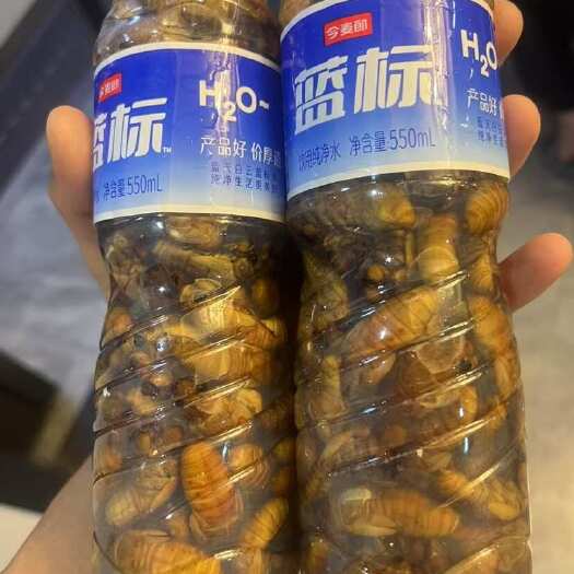 金乡县金蝉 电商 团购爆品