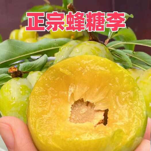 紫云县贵州安顺紫云县新鲜蜂糖李子现摘现发果园直销果大味甜