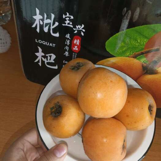 宝兴县四川雅安宝兴大五星枇杷新鲜采摘现发货
