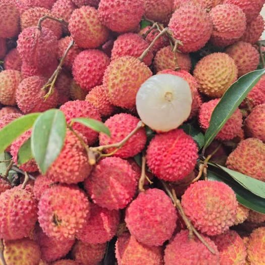 广州增城荔枝核心产区，现摘现发，荔枝颗颗手选，小核率超90
