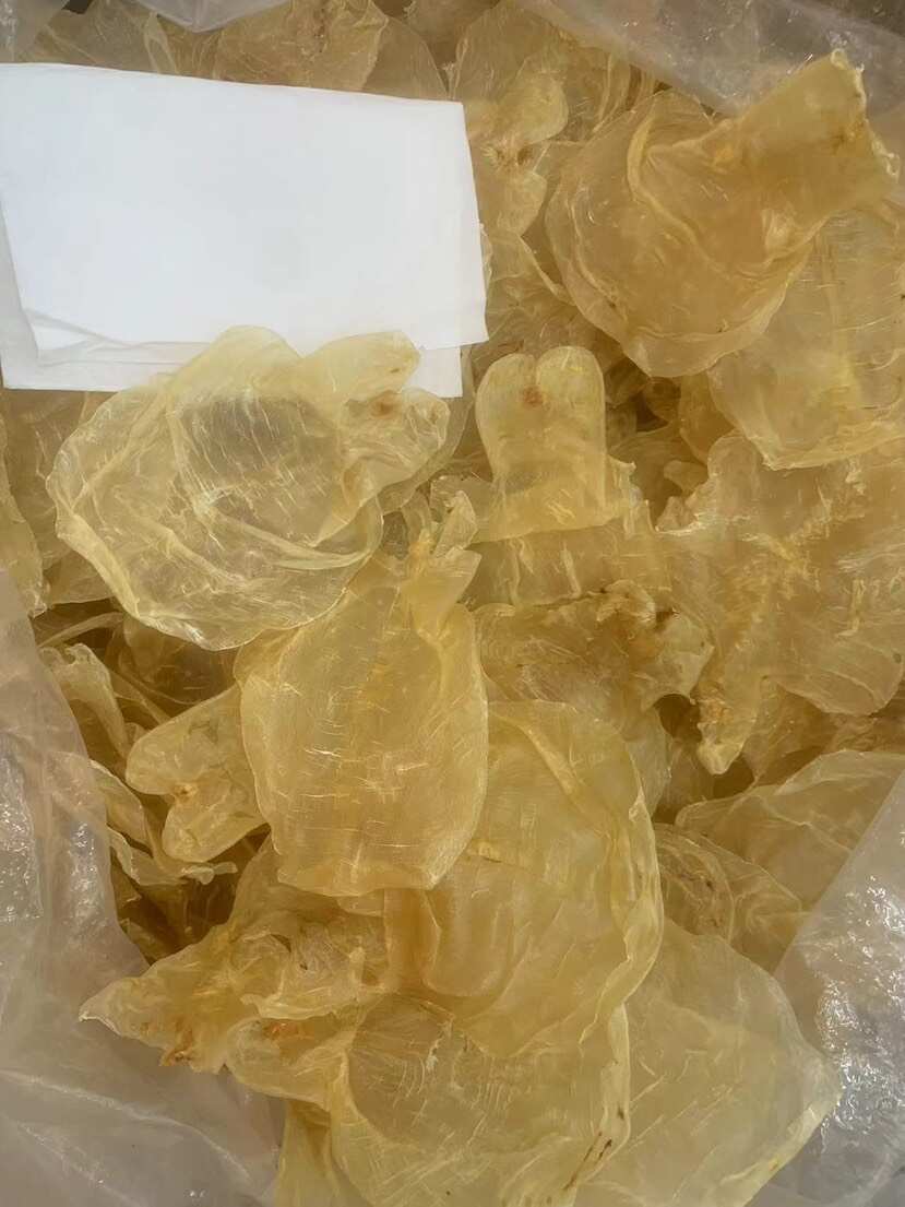 鱼胶花胶 蜘蛛片甲肚片一手货源全国发货量大价优
