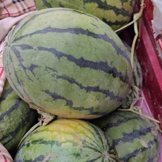 随县西瓜