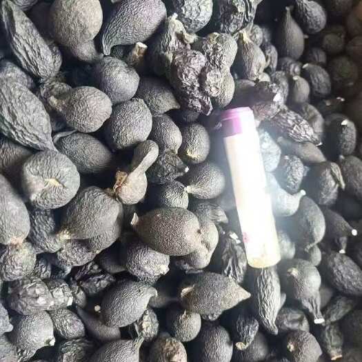 东兴市乌灵参中货