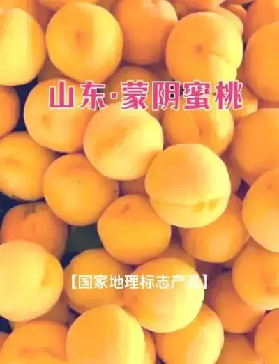 蒙阴县蜜桃