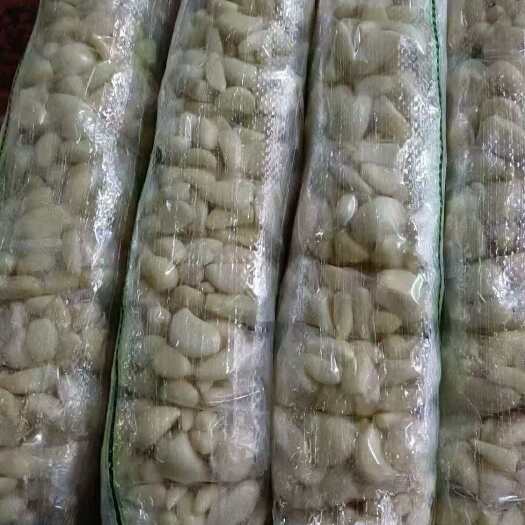 兰陵县需要精品蒜籽，蒜头的老板联系