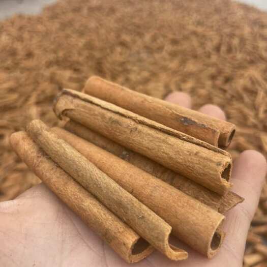 防城港烟仔桂 烟桂，经过刮皮和手工卷园的