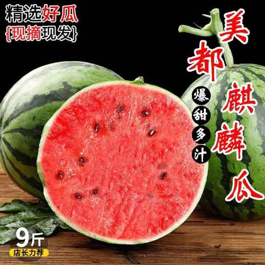 太和县[产地包邮]美的麒麟西瓜
