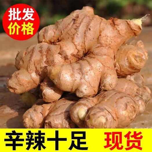 生姜批发老姜新鲜嫩姜子姜仔姜土姜干姜现