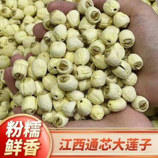 佛山【无硫白莲子】江西去芯白莲子无硫大颗粒白莲子500克袋装包邮